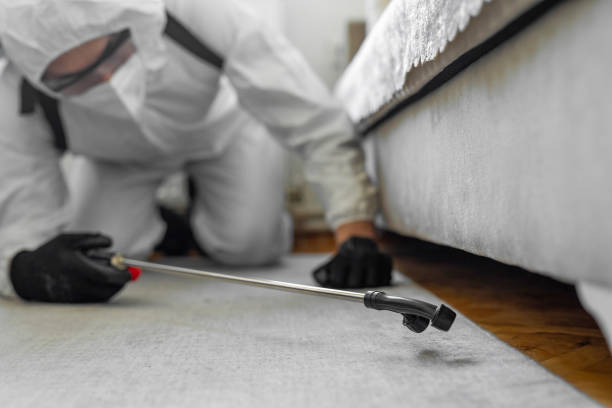 Professional Pest Control technician working in Oriole Beach, FL