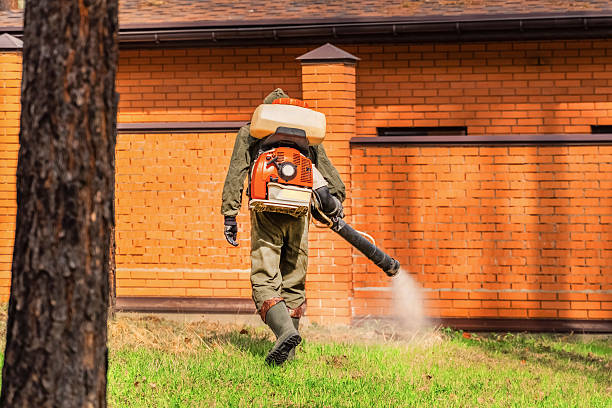 Trusted Fumigation Services service in Oriole Beach, FL - Nex Pest Control